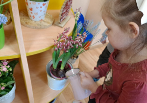 Zosia podlewa kwiatki znajdujące się w kaciku przyrody