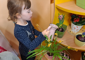 Zosia podlewa kwiatki znajdujące się w kaciku przyrody