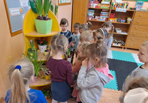 Dzieci przyglądają się kwiatkom zgromadzonym w kąciku przyrody