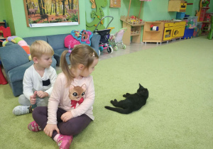 Dzieci siedzą na dywanie i patrzą na czarnego kotka leżącego na dywanie.