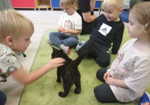 Dzieci siedzą na dywanie i jedno dziecko głaska kotka.
