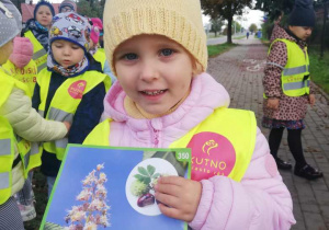 Helenka prezentuje ilustrację przedstawiającą owoce i liście kasztanowca