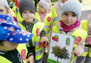 Dzieci porównują owoce i liście jarzębiny z ilustracją