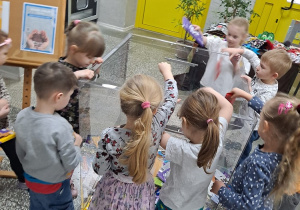 Dzieci z grupy Żabki wrzucają czekoladę do specjalnie przygotowanego pudełka