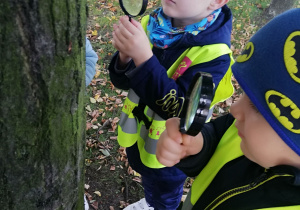 Dzieci za pomocą lup oglądają drzewo z bliska