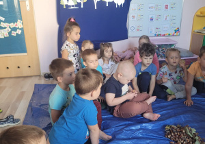 Zdjęcie 35 na 52