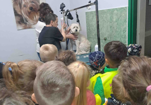 Dzieci oglądają proces strzyżenia psa