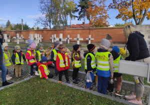 Zdjęcie 2 na 19