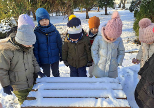 Dzieci prowadzą obserwację śniegu