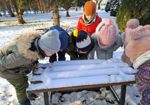 Dzieci prowadzą obserwację śniegu