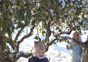 Dziewczynki strząsają śnieg z gałęzi drzew
