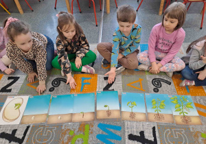Dzieci układają historyjkę obrazkową "Od ziarenka do fasoli"