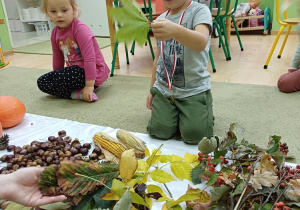 Staś pokazuje dzieciom liście