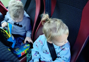 Zdjęcie 3 na 101