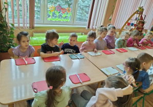 Zdjęcie 3 na 14