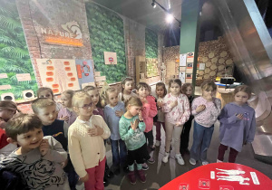Zdjęcie 19 na 77