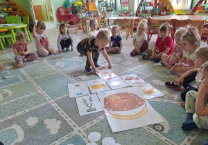 Zdjęcie 8 na 21