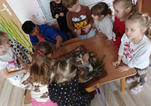 Zdjęcie 14 na 15