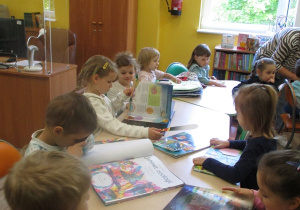 Zdjęcie 11 na 19