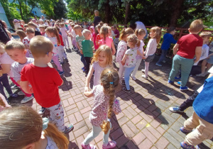 Zdjęcie 4 na 15