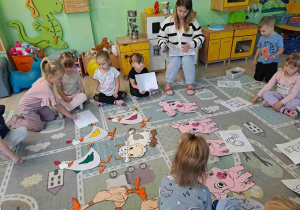 Zdjęcie 15 na 16