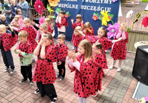Zdjęcie 11 na 16