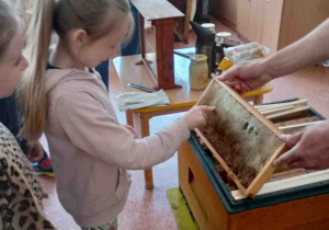 Zdjęcie 17 na 23