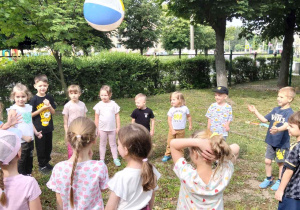 Zdjęcie 13 na 14