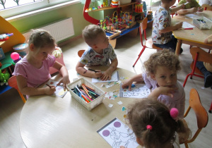Zdjęcie 8 na 26