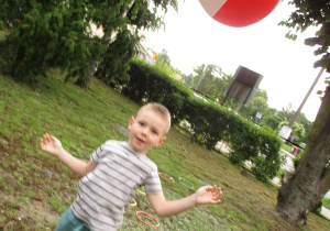 Zdjęcie 12 na 24
