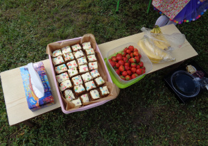 Piknik rodzinny