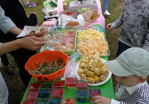 Piknik rodzinny