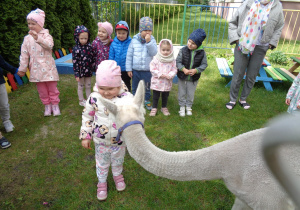 Alpaki w przedszkolu