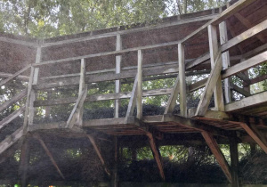 Zdjęcie 4 na 43
