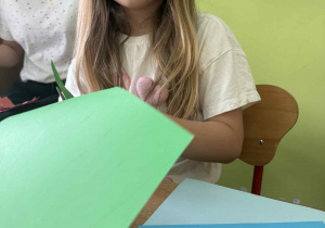 Zdjęcie 12 na 13