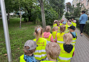 Zdjęcie 7 na 18