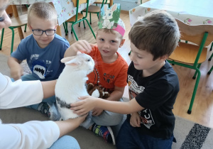 Dzieci głaszczą królka.