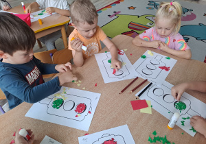 Zdjęcie 11 na 14