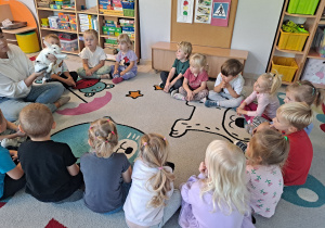 Zdjęcie 2 na 14
