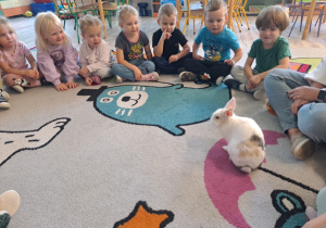 Zdjęcie 10 na 14