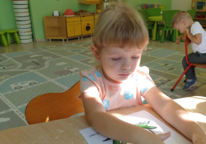 Zdjęcie 6 na 11