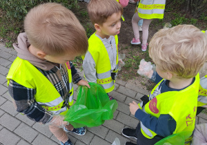 Zdjęcie 8 na 15
