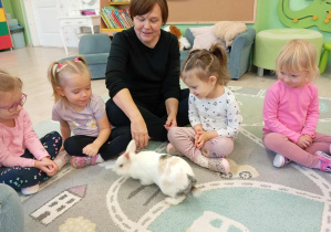Spacer królika po sali