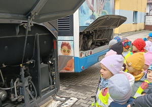 Zdjęcie 13 na 19