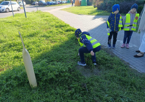 Zdjęcie 12 na 25