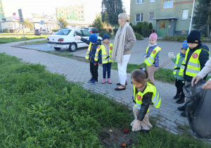 Zdjęcie 15 na 25