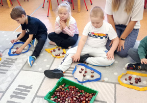Zdjęcie 17 na 17