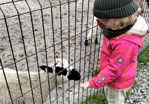 Dzieci karmią zwierzęta