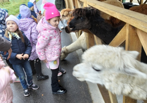 Dzieci karmią zwierzęta