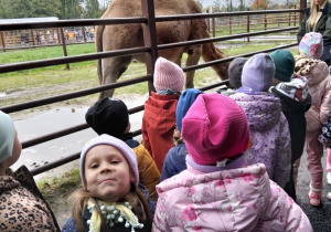 Dzieci zwiedzają zoo